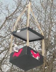 Малыши из Новоникольска учатся заботиться о птицах (3 фотографии) Малыши из Новоникольска учатся заботиться о птицах (3 фотографии)